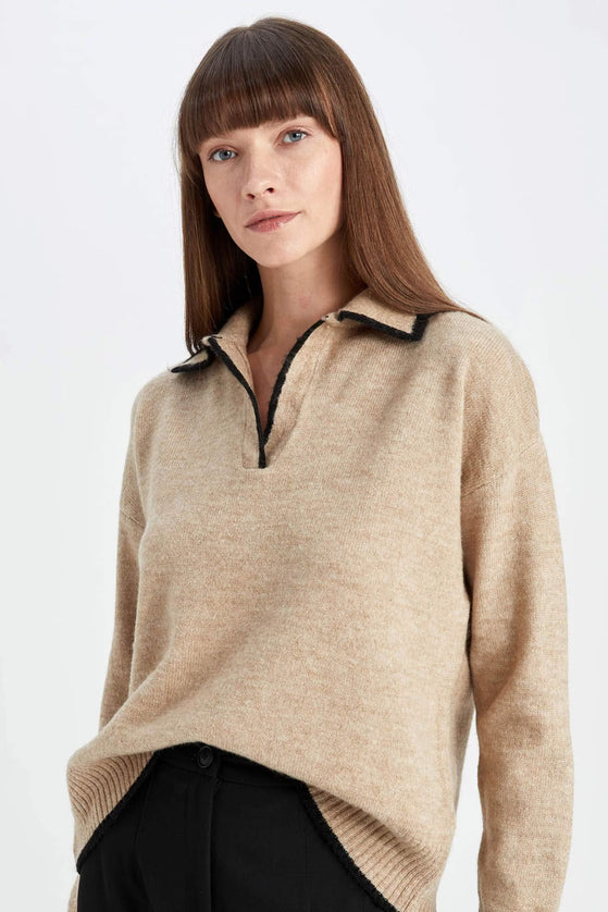 Regular Fit Soft Texture Polo Neck Knit Pullover