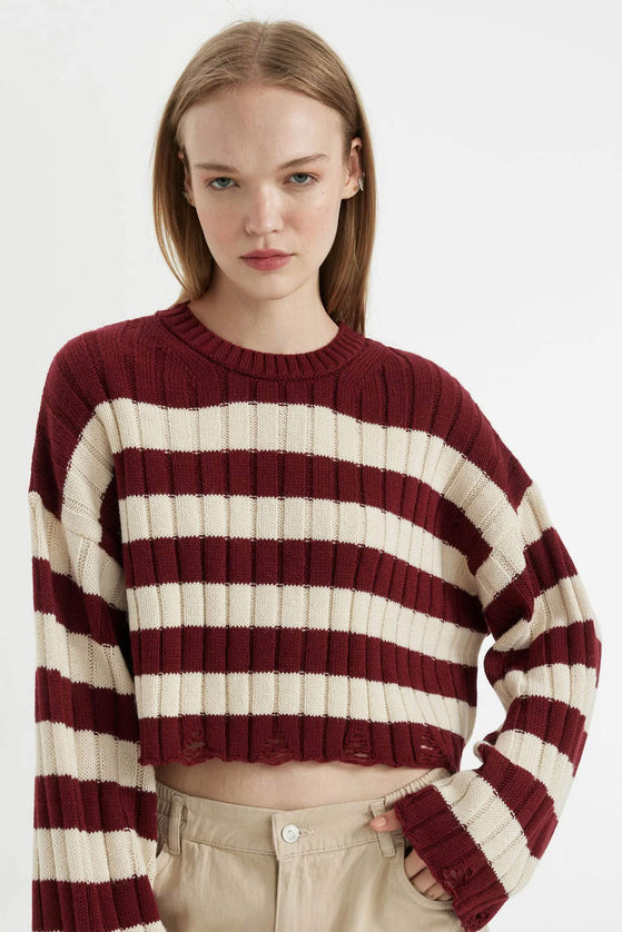 Regular Fit Crew Neck Knitwear Pullover
