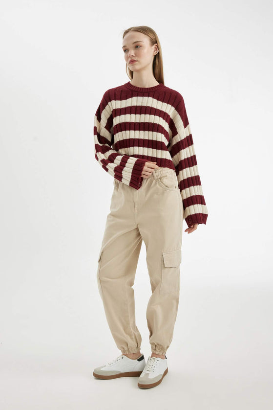 Regular Fit Crew Neck Knitwear Pullover