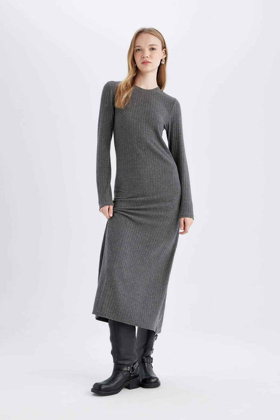 Bodycon Crew Neck Basic Long Sleeve Maxi Dress