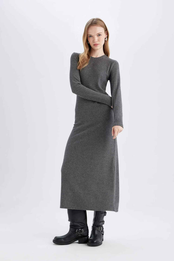 Bodycon Crew Neck Basic Long Sleeve Maxi Dress
