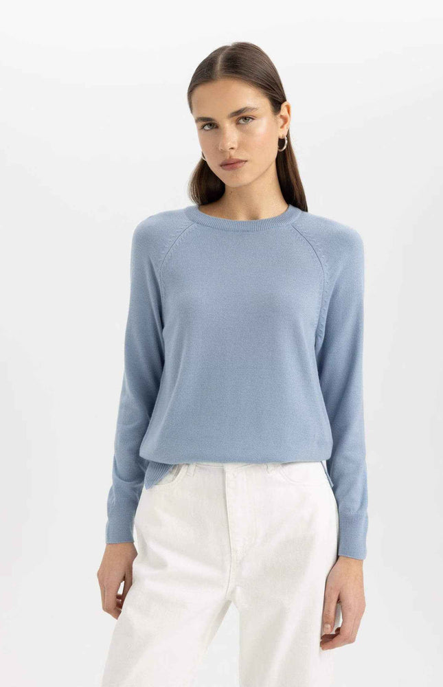 Regular Fit Crew Neck Basic Pullover