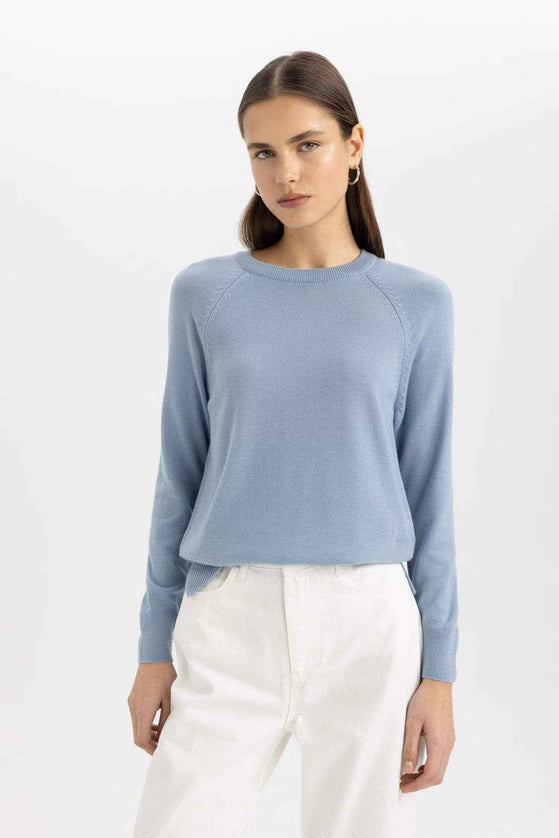 Regular Fit Crew Neck Basic Pullover
