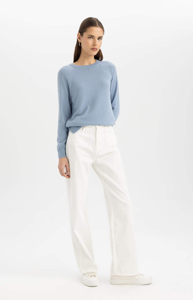 Regular Fit Crew Neck Basic Pullover