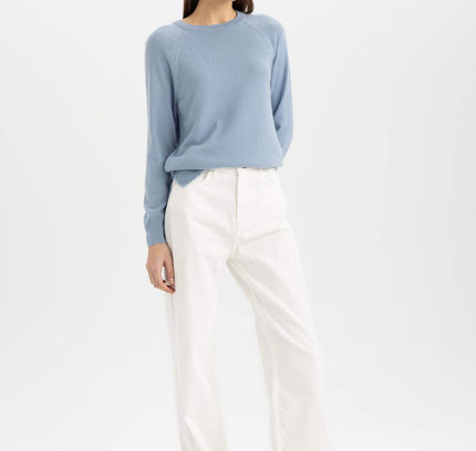 Regular Fit Crew Neck Basic Pullover