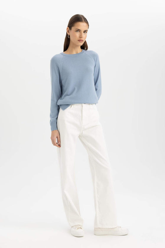 Regular Fit Crew Neck Basic Pullover