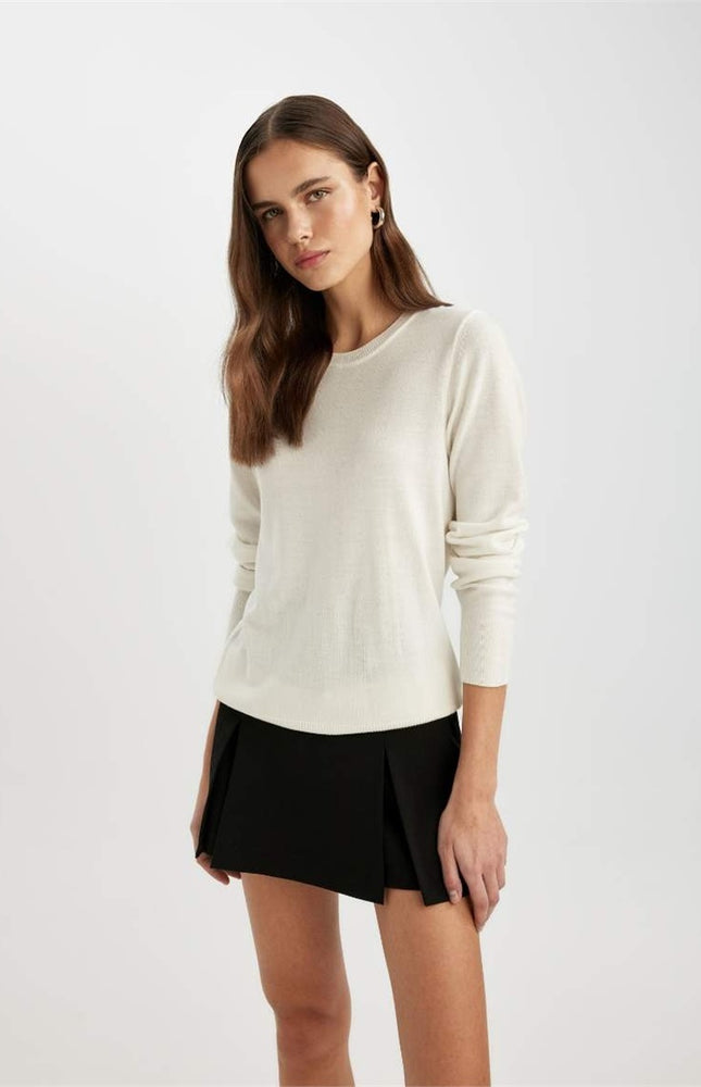 Regular Fit Soft Textured Crew Neck Basic Knitted Pullover