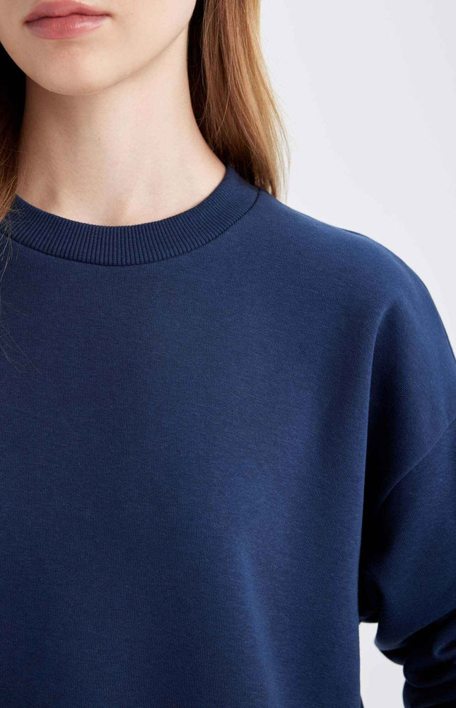 Navy Blue Regular Fit Normal Fit Basic Thick Fleece Inside Tracksuit Set