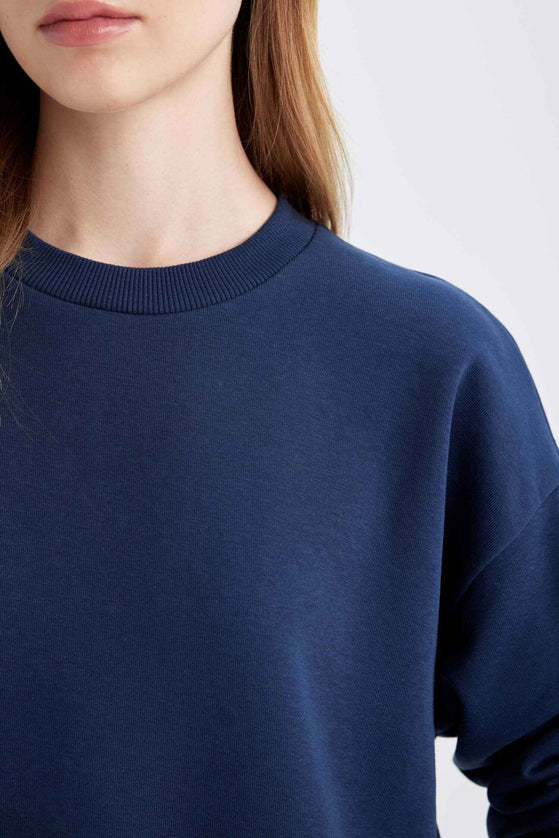 Navy Blue Regular Fit Normal Fit Basic Thick Fleece Inside Tracksuit Set